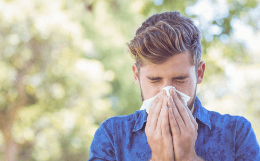 sneeze sneeze